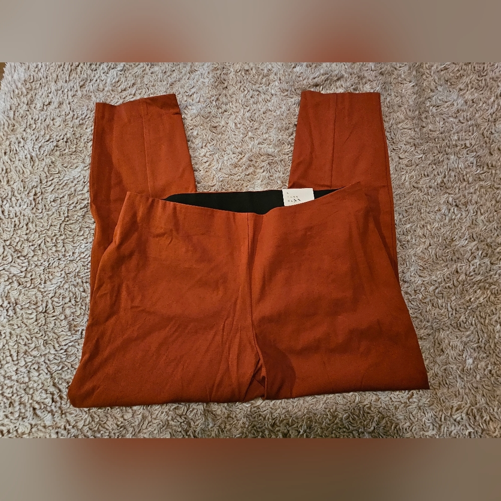🆕️A New Day - Size 16 - burnt orange